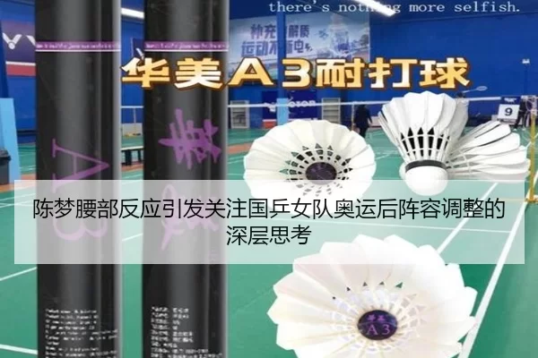 陈梦腰部反应引发关注国乒女队奥运后阵容调整的深层思考